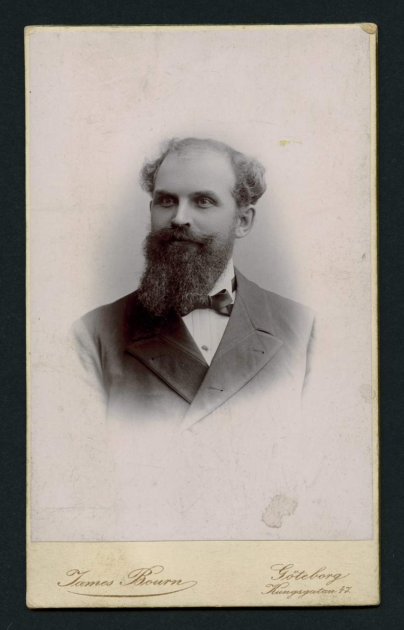 Albert John Johnson (1863 - 1940) Profile